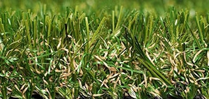 Artificial Grass | Supreme 32mm