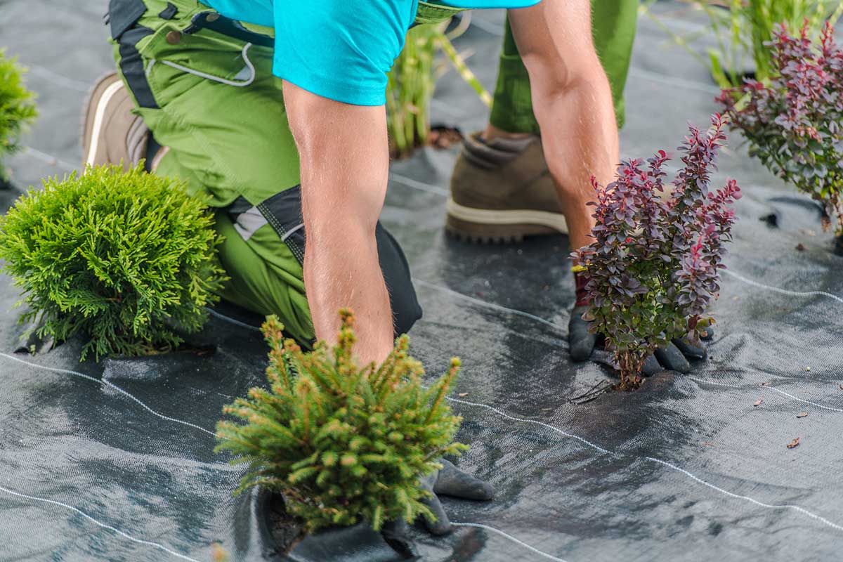 Weed-Control Fabric