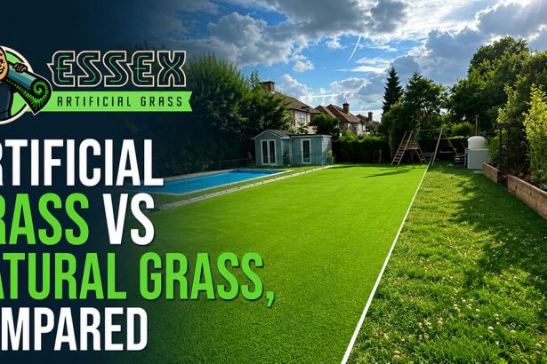 Artificial Grass vs Natural Grass, Compared